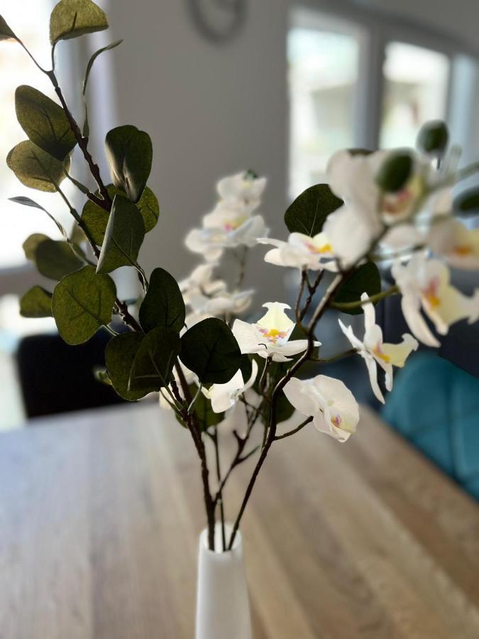 Modern Apartment Mainz By Pma Ngoại thất bức ảnh